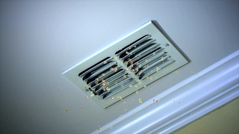 Best Best Air Duct Cleaning Company  in Lansing, IL