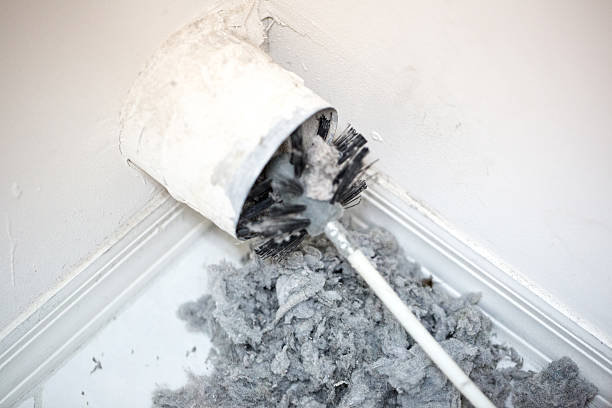 Best Air Duct Mold Removal  in Lansing, IL